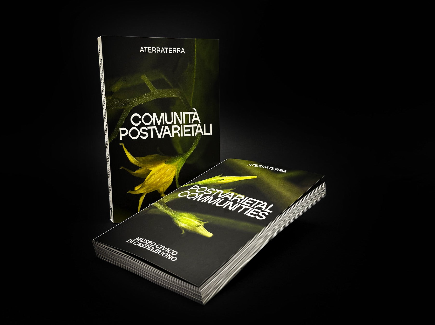 CONNECTED ECOSYSTEMS. MUSEUM AND POST-VARIETAL COMMUNITIES