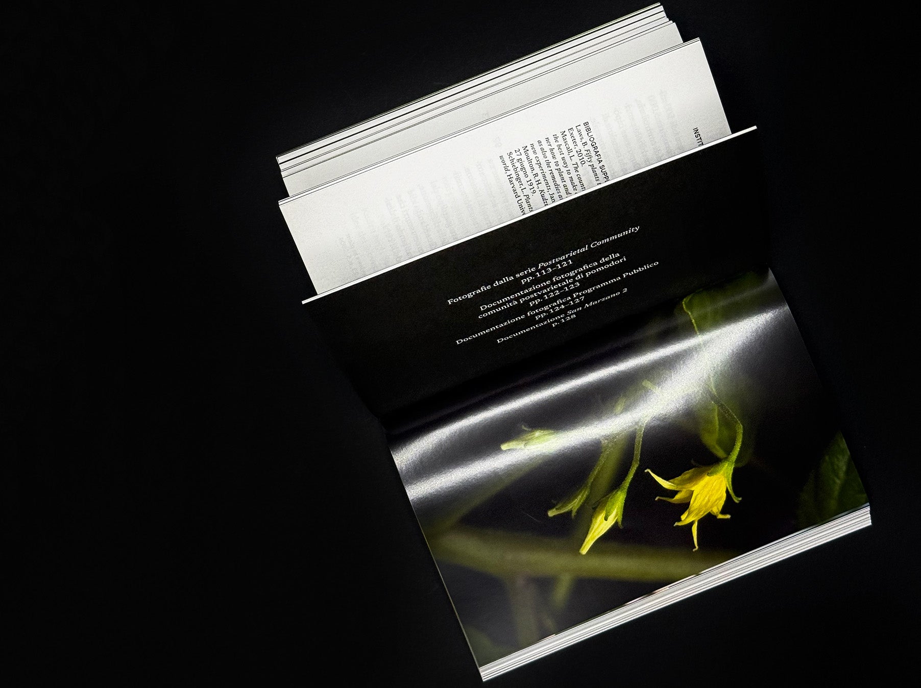 CONNECTED ECOSYSTEMS. MUSEUM AND POST-VARIETAL COMMUNITIES